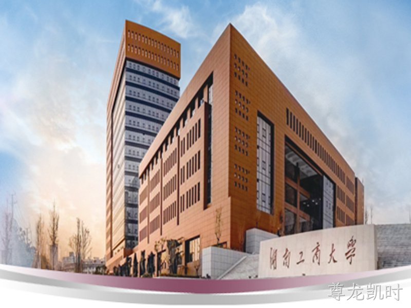 河南工商大学政府采购智慧校园安防及消防建设建筑智能化弱电总包项目