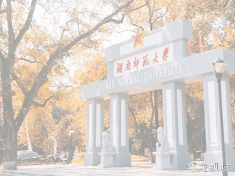 河南师范大学政府采购第六批博物馆陈列布展项目建筑智能化弱电总包项目